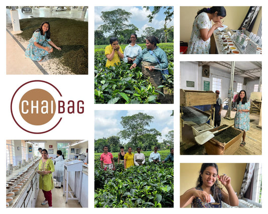 The Maker Behind Masala Chai: Introducing Priyanka Aggarwal - ChaiBag